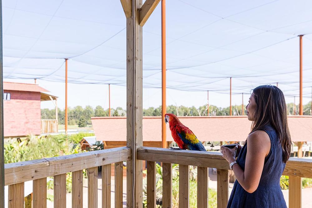 Parrot World - Les Lodges Crecy-la-Chapelle Exteriér fotografie