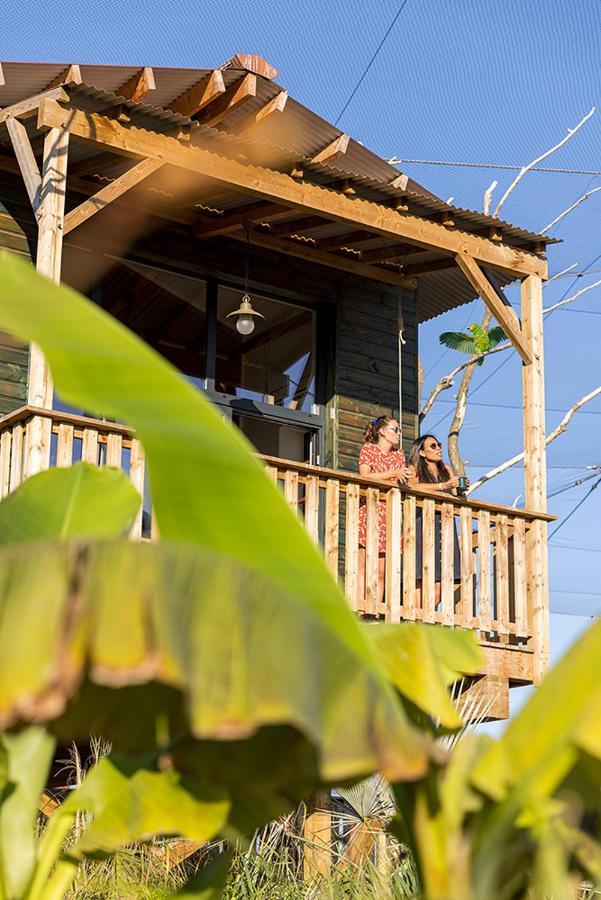 Parrot World - Les Lodges Crecy-la-Chapelle Exteriér fotografie